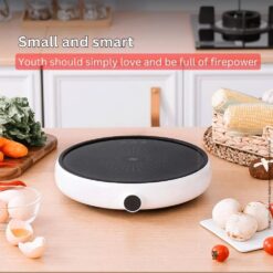 Alternative view of ZHIWUZHU Electric Induction Cooker Youth Edition